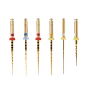 ROTARY TC FILE Gold Assorted  (6 files)